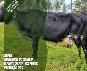 ARETA