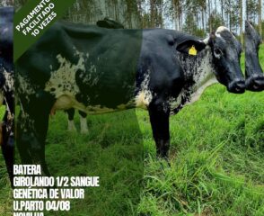 BATERA S PREÇO