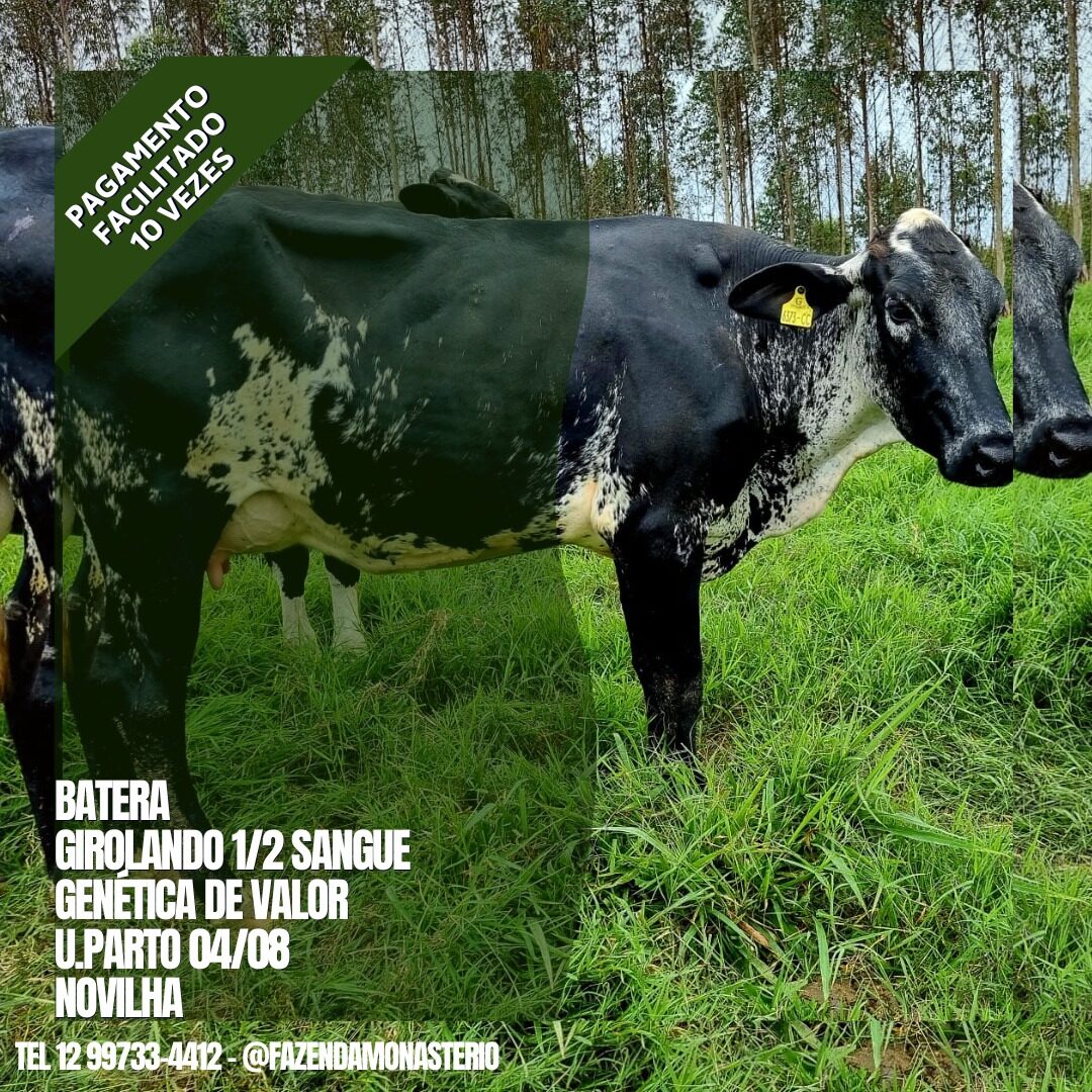 BATERA S PREÇO